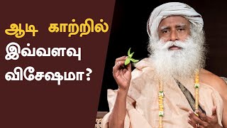 ஆடி காற்றில் இவ்வளவு விசேஷமா? | What Is So Special About Spring Winds? | Sadhguru Tamil