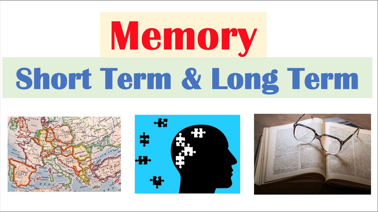 Igualdad Relajante Fatal Working Memory Vs Short Term Memory Firma Igualdad Relajante Fatal Working Memory Vs Short Term Memory Firma