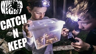 Catch N Keep - GIANT Centipedes/Scorpions/Spiders #3