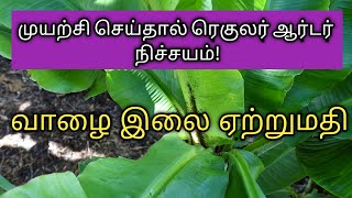 வாழை இலை ஏற்றுமதி