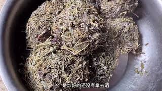 【茶农艳艳】广西三江高山野生藤茶，被称为百茶之王全程手工炒茶，回甘好