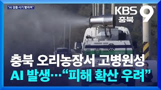 충북 오리농장서 고병원성 AI 발생…“피해 확산 우려” / KBS  2024.11.08.