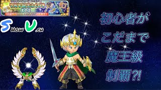 [星ドラ]こだまする光撃の対象を初心者キャラでも魔王級は倒せるのか⁈そしてふくびきは奇跡を起こせるのか⁈