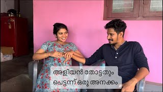 മലപ്പുറത്തു നിന്ന്  അളിയൻ വന്നപ്പോൾ  SUNDAY VLOG 🫶🫶#palakkadanfamily