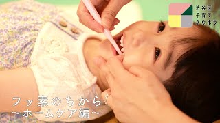 フッ素のちから〜ホームケア編〜【渋谷区子育てネウボラ】