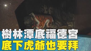 財運 土地公|潭底福德宮有「祂」帶財也守護小孩