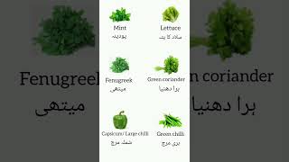 green vegetables vocabulary #shorts