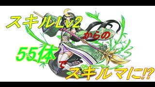 スキル上げ【パズドラ】かぐや姫は果たしてスキルマに!?