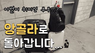 [캐나다 일상 vlog🇨🇦]같이 살 수 없는 운명의(?) 신혼부부.. 또 맞는 이별👋