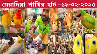 আনকমন এক পাখি আসছে ll মেরাদিয়া পাখির হাট ll meradia pakhir hat ll bird price in Bangladesh