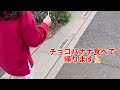 るいくん川口市立グリーンセンターにいく！