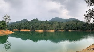 ( 香港郊遊 ) 菠蘿壩自然教育徑 城門水塘 白千層林道 白千層塘畔 香港行山 荃灣行山 Pineapple Dam Nature Trail