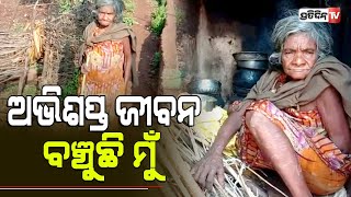 ପାଇଖାନା ଘରେ କଟୁଛି ରଇବାରୀ ମାଉସୀଙ୍କ ଅଭିଶପ୍ତ ଜୀବନ | PratidinTv