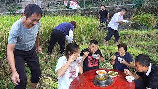 The Whole Family Is Going To Harvest Rice We Have Energy When We Are Full