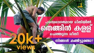 KERALA TODDY | തെങ്ങിൻ കള്ള് ചെത്തുന്ന രീതി നിങ്ങൾ കണ്ടിട്ടുണ്ടോ ?