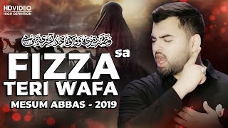 Nohay 2019 | Fizza Teri Wafa Ki | Mesum Abbas New Noha 2019 | Noha Bibi Fizza