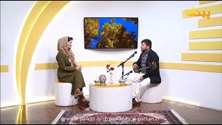 Dawood Pzhman موسقی محلی با داوود پژمان / تلویزیون پیکان