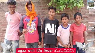 ਕਬੂਤਰ ਬਾਜੀ ਪਿੰਡ ਲਿਬੜਾ (ਲੁਧਿਆਣਾ) 16/06/2024 #kabootarbazi #kabutar