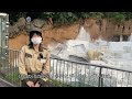 小林さんの 天王寺動物園の思い出