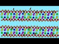 genetics 3 epigenetics cpg islands