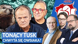 WARZECHA, WOŚ, KARPIEL. TONĄCY TUSK OWSIAKA SIĘ CHWYTA?