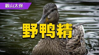 民間故事：養鴨老漢重病纏身，赤腳遊醫除妖救命