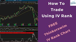 How To Trade (Using IV Rank Tool) With Thinkorswim