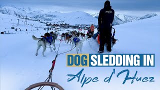 We Went Dog Sledding in the French Alps!