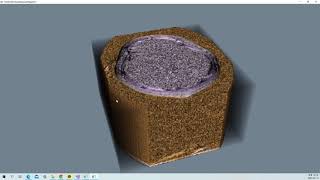 VTK Example - FixedPointVolumeRayCastMapperCT - Cxx -CT_Muscle