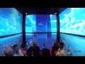 One World Observatory at World Trade Center - Elevator Ride