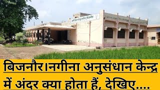 बिजनौर।।नगीना का अनुसंधान केन्द्र में अंदर क्या होता हैं, देखिए@bijnortv ।।Rural India। Nagina।।