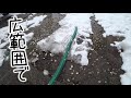 【庭の池】屋根の大雪にアレを使ってみる