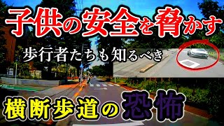 【ドラレコ】横断歩道で子供たちを後続車の危険から守る瞬間を捉えた映像