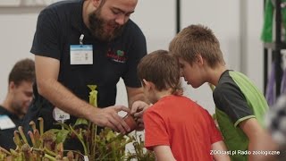 Rośliny owadożerne - PETFAIR 2014 Łódź