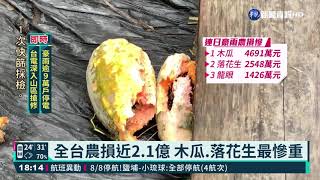 雨災農損雲林最慘 菜價漲幅今年新高｜華視新聞 20210808