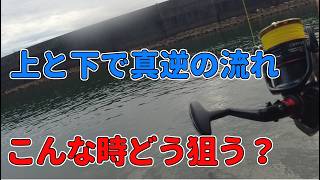 上と下で真逆の流れ！大雨後の二枚潮どう狙う？（チヌ釣り　フカセ釣り）