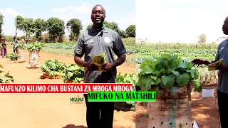 KILIMO CHA BUSTANI YA MBOGA MBOGA NYUMBANI KWA KUTUMIA MAKOPO,MAGUNIA,MATAHILI NA VIROBA