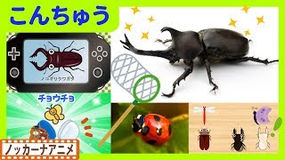 昆虫 いろんな虫 キッズアニメ＃３★カブトムシ・クワガタ★赤ちゃんが喜ぶ知育動画★Insects animation for kids