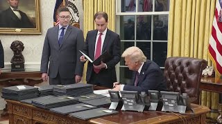 President Trump reverses Federal DEI programs