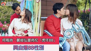 Stephanie Ho and Fred Cheng announced their pregnancy and excitedly revealed the sex of their baby