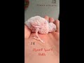 مراحل نمو فرخ بادجي من عمر يوم 1 لعمر 30 يوم .budgerigar chick growth stages