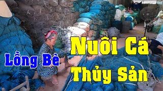 Video số 144 | Giới thiệu lưới Nhật Bãi chuyên làm Lồng Bè Nuôi Cá, Thủy Sản...