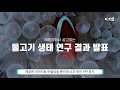 파워포인트 최신기능 고품질 이미지 무료 제공 소식ㅣ온라인 강의제작ㅣ이지쌤 파워포인트 강의