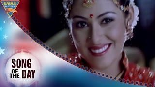 New Hindi Song Of The Day 80 || Ek Aur Maha Sangram Hindi Dubbed Movie || Eagle Hindi Movies