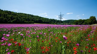 🚴‍♂️ E-Bike Tour durch das Altmühltal – Natur, Burgen \u0026 Genuss! 🌿🏰 (Teil 2)