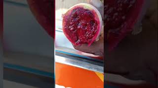 Natural  dragon fruit /சப்பாத்தி பள்ளி பழம்  🍑🍑by kavins corner