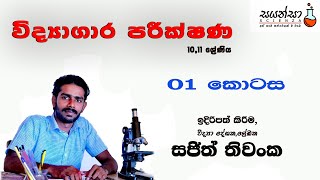 විද්‍යාගාර පරීක්ෂණ 01