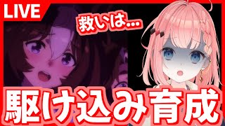 【ウマ娘LIVE】キャンサー杯駆け込み育成！救いは...