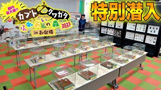 昨年より大幅に規模が拡大したお台場の昆虫展示会が楽しすぎる！