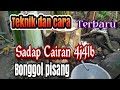 Cara Sadap Cairan Bonggol Pisang‼️41R 4J41B‼️